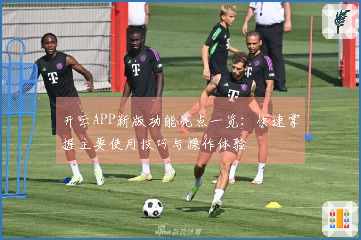 开云APP新版功能亮点一览:快速掌握主要使用技巧与操作体验