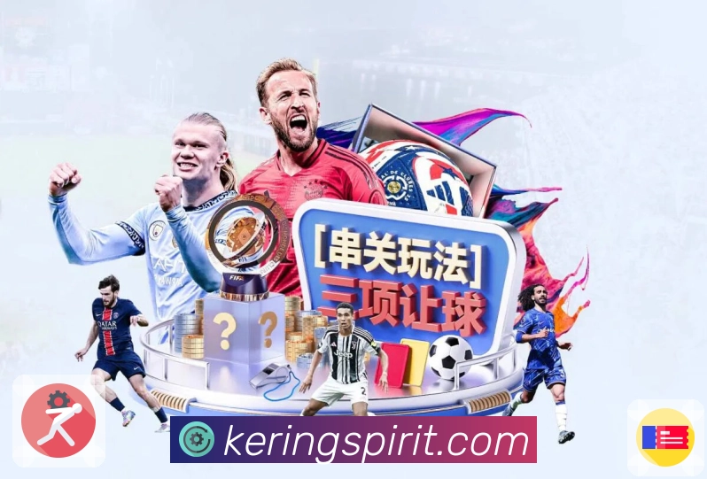 奖项证书
